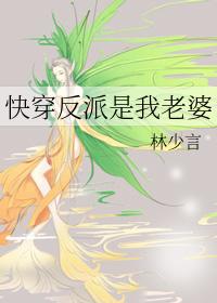快穿我是反派老婆粉