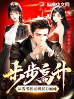 步步高升从省考状元到权力巅峰书旗网