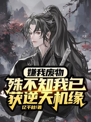 混沌天灵根讲的是什么