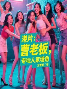 曹老板的电视剧第32