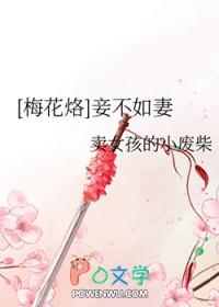 妾不如妻浪漫大神