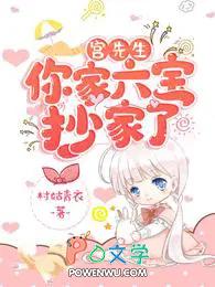宫先生的小宝贝
