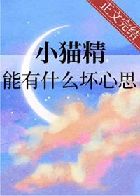 猫精明吗