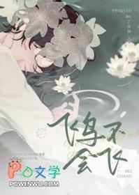 鸟不会飞的鸟