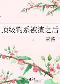 钓到顶级流偶像之后