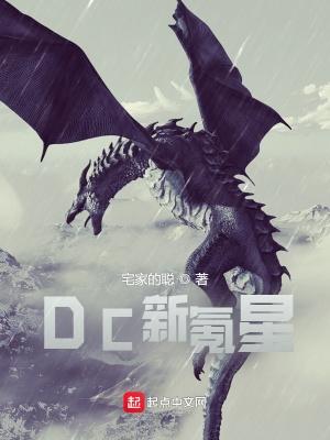DC新氪星TXT资源