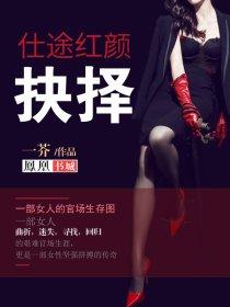 仕途红颜笔趣阁
