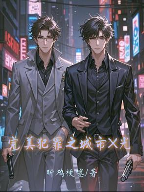完美犯罪1集