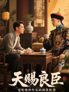 天赐良臣连续剧全集免费观看