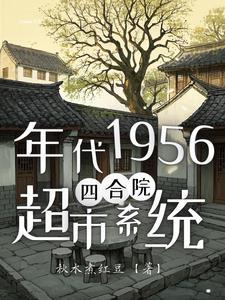 四合院我有空间