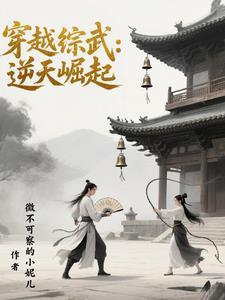 主角穿越到综武世界