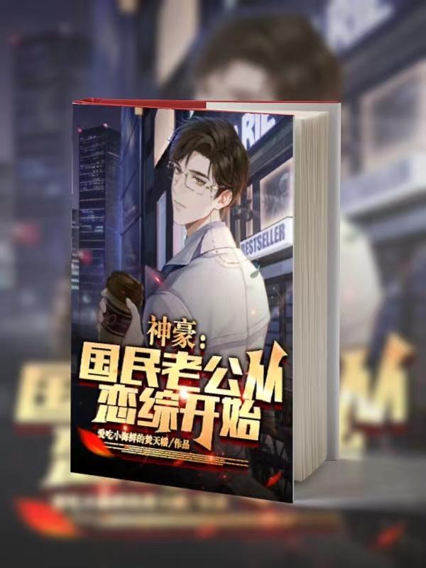 国民老公v5