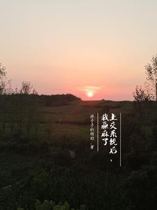 我被系统坑成大明星全文免费