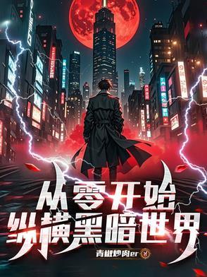 从零开始暗夜奏鸣全文阅读