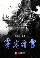 霜雪霁寒宵