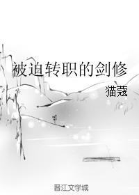 被迫转职的剑修 无防盗