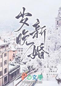 岁晚新婚宋唯TXT