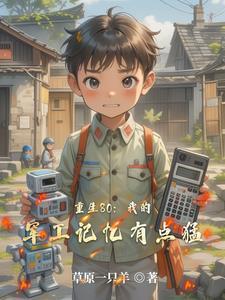 重生八十年代军人