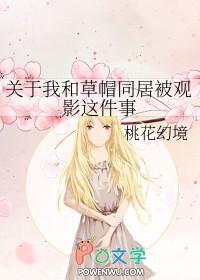 草帽海贼团和之国篇图片