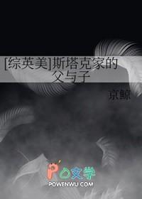 复联斯塔克家祖传