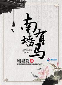 南墙在哪里什么意思
