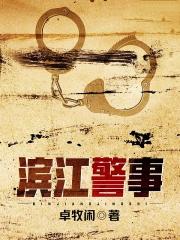 滨江警事无错版