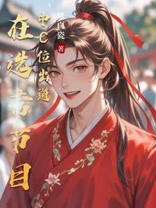 从选秀节目开始的