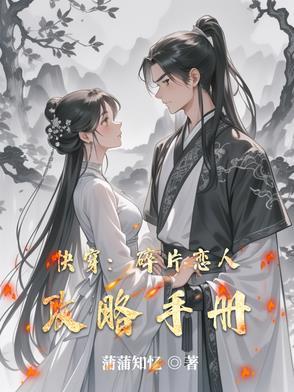 碎片式快乐什么意思