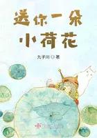 送你一朵小花花的歌曲