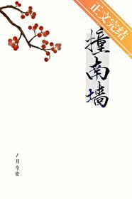 撞南墙视频