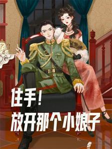 我在民国的军阀生涯2