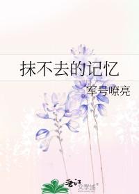 抹不去的回忆350字