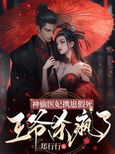 神偷王妃我家王爷惹不起