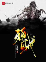 顽贼全文TXT