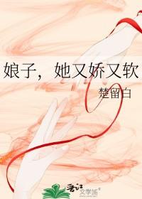 娘子她又娇又软赵云澜