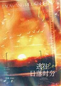 逃往日落时分无弹窗笔趣阁