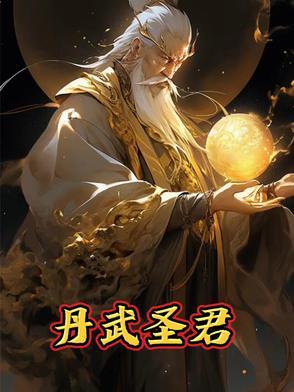 武圣君个人简历