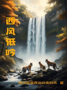 西风什么