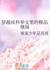 穿越成科举文男主