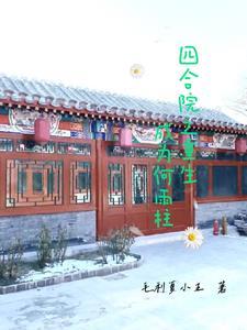 四合院开局成棒梗