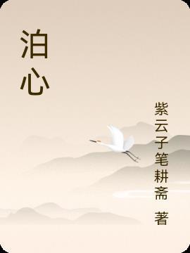 泊心公寓银川