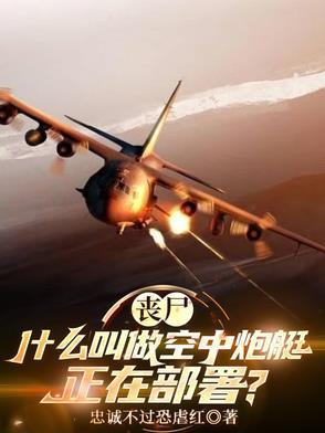 空中炮艇2破解版哪能下?