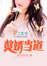入赘为婿岳风