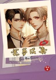 美梦成真笔趣阁