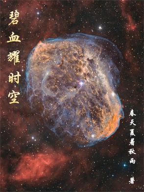 碧血长空剧情