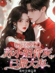 顾小姐是什么