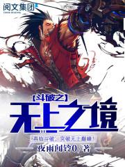 斗破苍穹之无上之境正版免费阅读