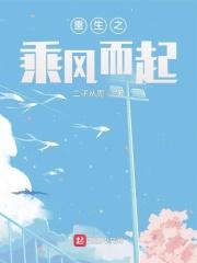 重生之乘风而起无弹窗