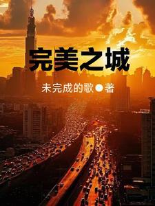 电视剧完美之城