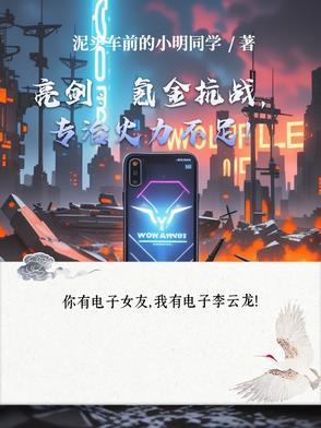 亮剑经费
